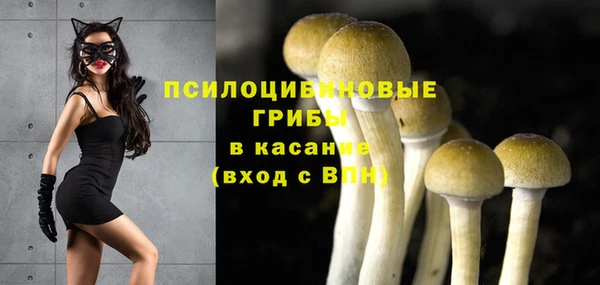 мескалин Нязепетровск