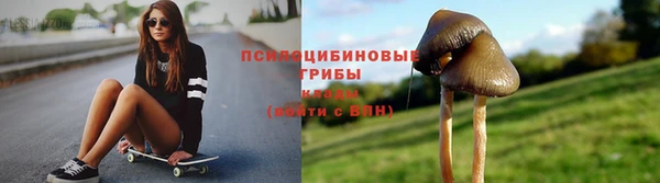мескалин Нязепетровск