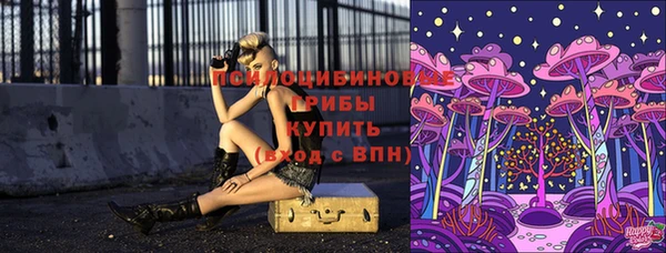 мескалин Нязепетровск