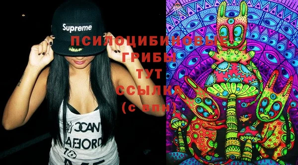 спайс Нягань