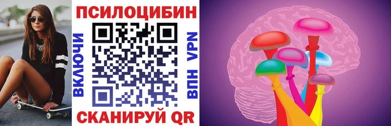 Псилоцибиновые грибы Psilocybine cubensis  Ульяновск 